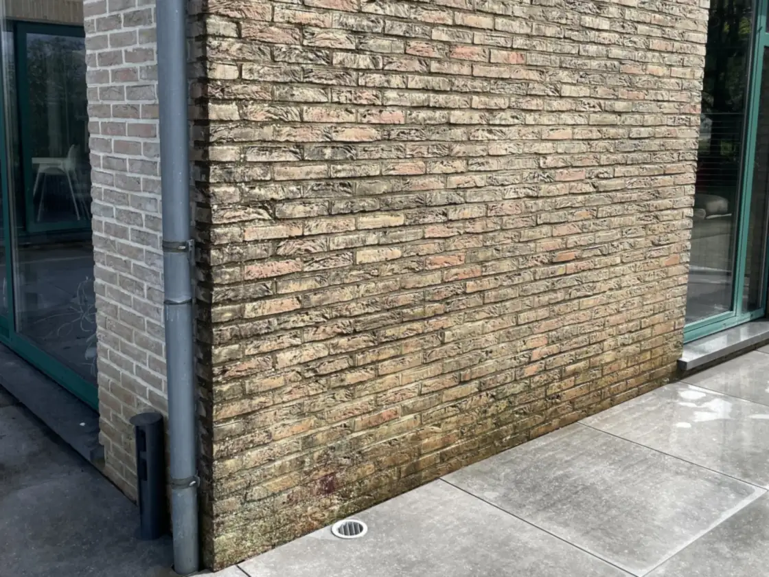 Mur en brique envahi de mousses et d'algues avant nettoyage par drone