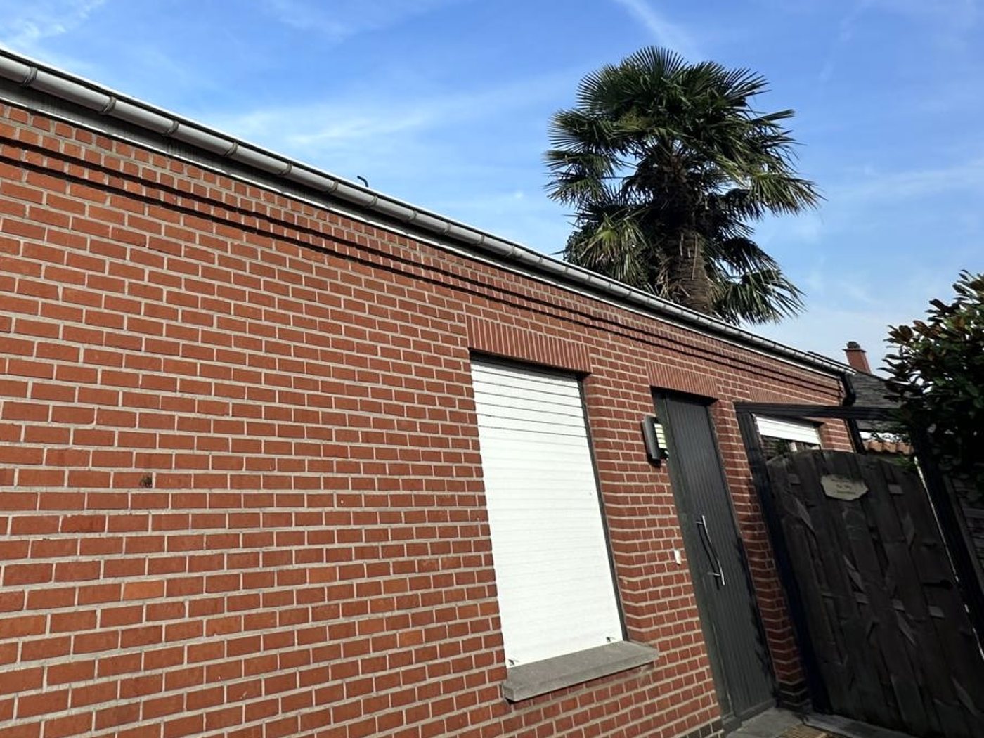 Façade encrassée et verdie avant nettoyage
